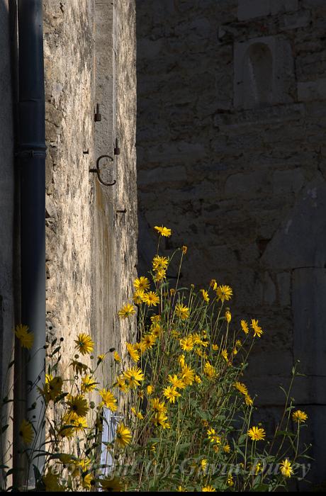 Chateau-Chalon IMGP2867.jpg